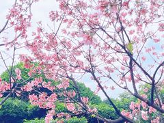 -宝墨园景区