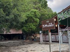 -普者黑风景区-青龙山