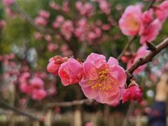 -滨湖塘西河公园