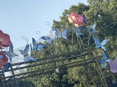 -横店影视城梦幻谷园区