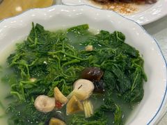 上汤桑叶-姚林轩