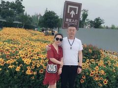 -歌斐颂巧克力小镇