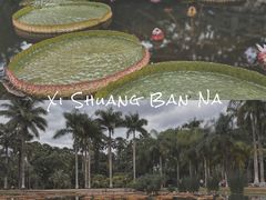 -中国科学院西双版纳热带植物园