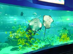 -苏州海洋馆
