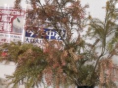 -流酥可心·牛乳蛋糕商店(禾祥西路店)
