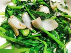 -白城沙滩