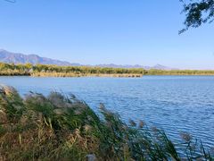 -野鸭湖国家湿地公园