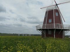 -塞罕坝国家级自然保护区