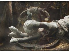 -平原博物院