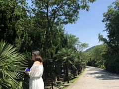 -白马涧龙池景区
