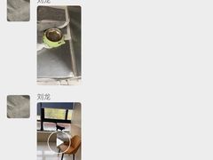 -康成宠物医院24H·CT·核磁共振