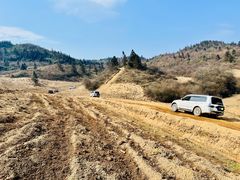 -武陵山森林公园