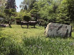 -北京麋鹿生态实验中心