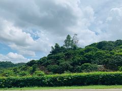 -清溪森林公园