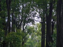 -缙云山景区