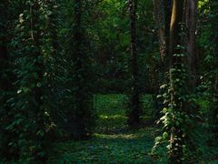 -华南国家植物园-售票处