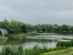-鹅湖玫瑰文化园