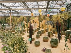 -南宫五洲植物乐园