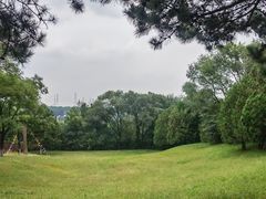 -云岗森林公园