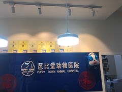 -芭比堂动物医院·犬猫全科·异宠专科(雁塔分院)