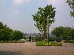-新江湾城公园