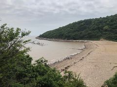 -花岙岛