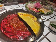 -朱光玉火锅馆(正弘城店)