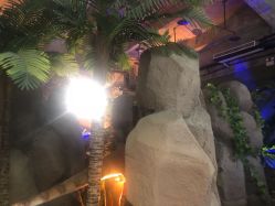 -恐龙探索乐园(磁器口店)