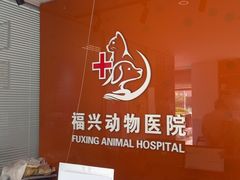 -瑞派福兴宠物医院犬猫全科·骨科·中西医结合(河东店)