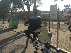 游乐设施-兰陵国家农业公园