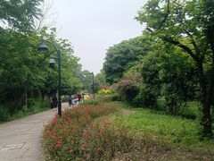 -西溪国家湿地公园