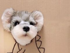 -正清和·推拿养生(和平广场店)