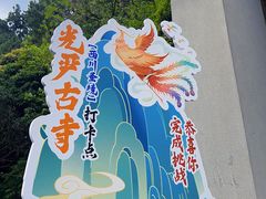 -凤栖山