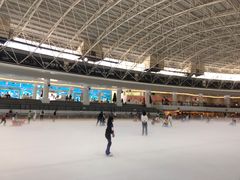 -世界之窗阿尔卑斯冰雪世界