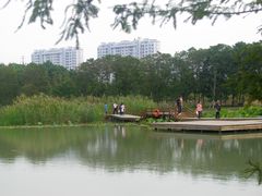 -昆山城市生态森林公园