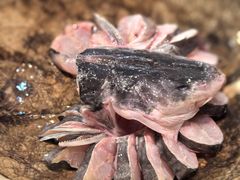 -众品蒸汽石锅坊