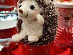 -星巴克(兰桂坊店)