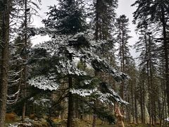 -硗碛藏寨·神木垒景区