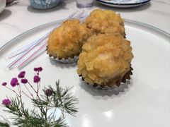 -丁老爷子苏香圆