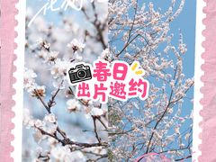 -合肥滨湖国家森林公园