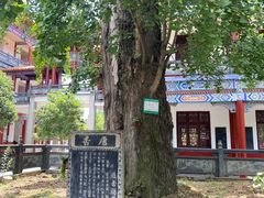 -章华寺