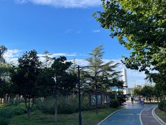 -太阳宫公园