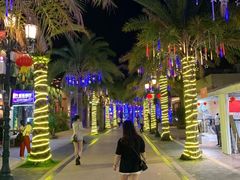 -三亚海昌梦幻海洋不夜城