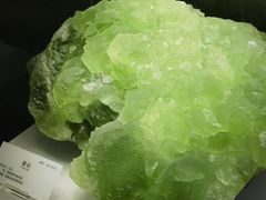 -湖南省地质博物馆