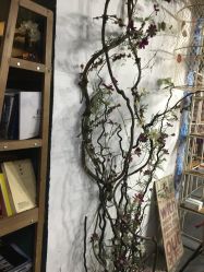 -HG美发设计沙龙