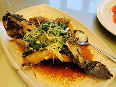 油浸笋壳魚-沙龙酒家