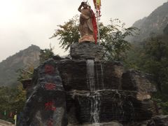 -大岭沟猕猴桃谷风景区