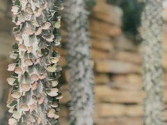 -北京植物园-展览温室