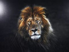 -罗红摄影艺术馆