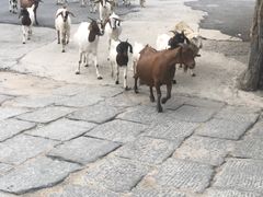 景点-天津盘山风景名胜区